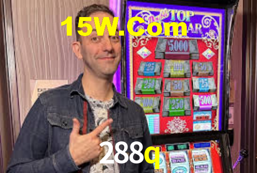 288q.com