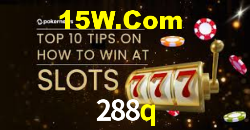 288q.com