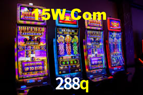 288q bet