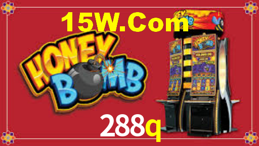 288q.com