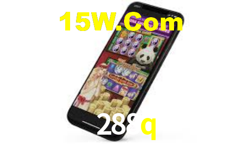 288q bet